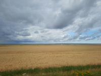 Rundreise Nordfriesland - Fahrt nach Sylt