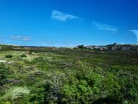 Rundreise Nordfriesland - Insel Sylt