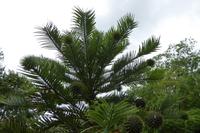 Tag 8 Garten von Coutance 