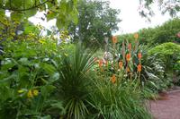 Tag 8 Zoo von Champrépus 