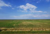 Landschaft auf der Rückfahrt hinter dem Hindenburgdamm