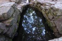 Tag 3 Im Wald von Broceliande 