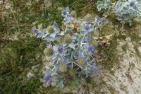 Tag 5 Cornouaille Küste 