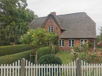 Tolle Reetdachhäuser gibt es auf Föhr unzählige