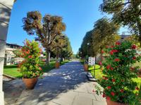 Städtereise Prag - Prager Burg mit Königlichem Garten