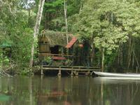 Tapirlodge