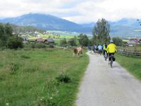 Radtour ins Riedlingtal- Rückweg
