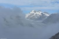 Fiescher Alp - Eggishorn (ca. 2.869 m) - Blick auf den Aletsch Gletscher und (Jungfrau), Mönch und Eiger