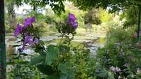 Giverny, Garten von Claude Monet, Wassergarten
