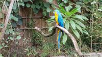 Champrépus, Parc Paysager et Zoologique
