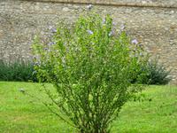 Auf der Burg in Bratislava