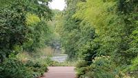 Orleans, Parc Floral de la Source
