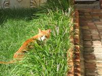 ...ich bin auch fotogen