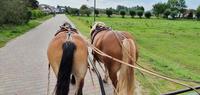 17. Inselrundfahrt auf Hiddensee