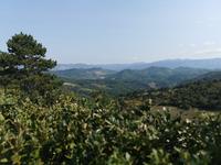 Die schöne Landschaft des Karst