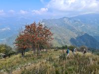 Die letzte Wanderung, hoch hinauf und um den Monte Boglia herum