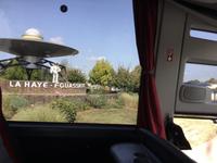 ...und alles nur wegen der Kekse...