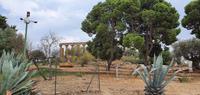 Spaziergang zum Hera-Tempel 