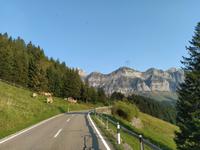 20200913 Viehwirtschaft auf der Schwägalp