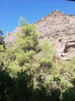 Fahrt durch die Vouraikos Schlucht