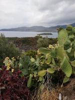 Weg nach Itilo - Kakteen mit Feigen