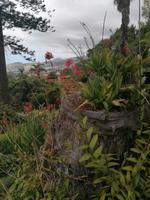 IMG_20200911_120855