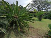 IMG_20200911_134339