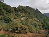 IMG_20200912_114128