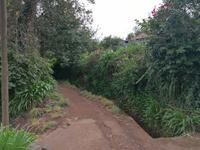 IMG_20200914_140116