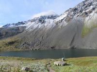 Fahrt über den Flüelapass