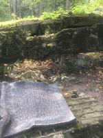 In der Wolfsschanze