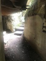 Wolfsschanze