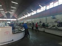 Fisch in Olhao