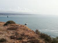 IMG_20200920_163215