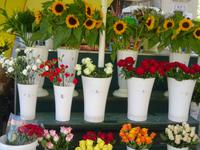 Krakau, Rundgang: Blumenmarkt