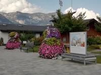 Ortsspaziergang durch Haus