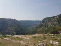 Ausblick