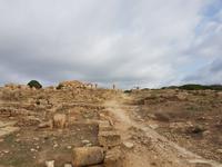 Weg zur Akropolis Selinunte