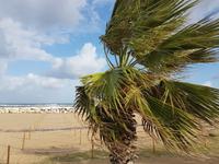 Stürmischer Tag Trapani