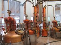 Besuch Grappa Brennerei Marzadro