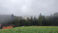 steirische Weinstraße im Regen
