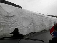 Fahrt hoch zum Dalsnibba