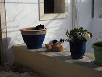 Kloster Paleokastritsa Korfu