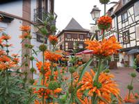 Elsass 09.2020 Obernai