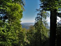 Elsass 09.2020  Wanderung zur Hohkönigsburg