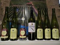 Elsass 09.2020 Dambach- la- Ville, Weinprobe