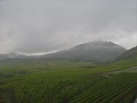 Elsass 09.2020  Blick aus dem Fenster des Hotels auf die Hohkönigsburg
