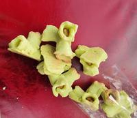 Noisettes de Morvan. Haselnüsse in Marzipan sind die lokale Spezialität von Autun