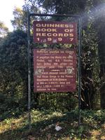 Vicos Schlucht Griechenland