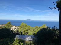 Blick auf Ischia